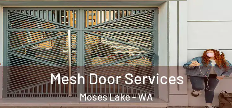 Mesh Door Services Moses Lake - WA